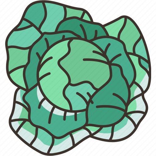 Cabbage, vegetarian, food, salad, ingredient icon - Download on Iconfinder