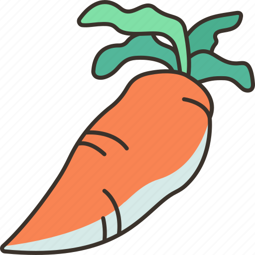Carrot, vegetable, nutrition, organic, ingredient icon - Download on Iconfinder