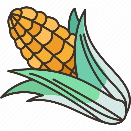Corn, maize, food, cooking, kernel icon - Download on Iconfinder