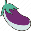 eggplant, vegetable, gourmet, nutrition, organic
