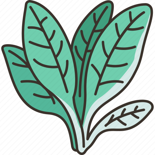 Spinach, leaves, fresh, garnish, cooking icon - Download on Iconfinder