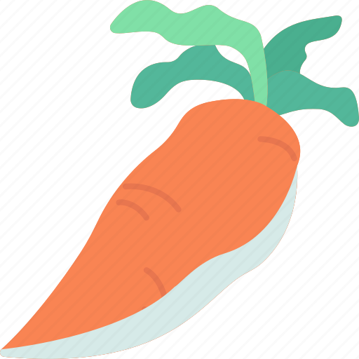 Carrot, vegetable, nutrition, organic, ingredient icon - Download on Iconfinder