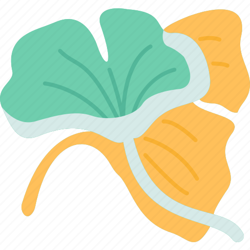 Ginkgo, leaves, herb, medicine, natural icon - Download on Iconfinder