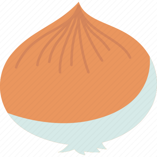 Onion, bulb, ingredient, cooking, organic icon - Download on Iconfinder