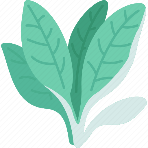Spinach, leaves, fresh, garnish, cooking icon - Download on Iconfinder