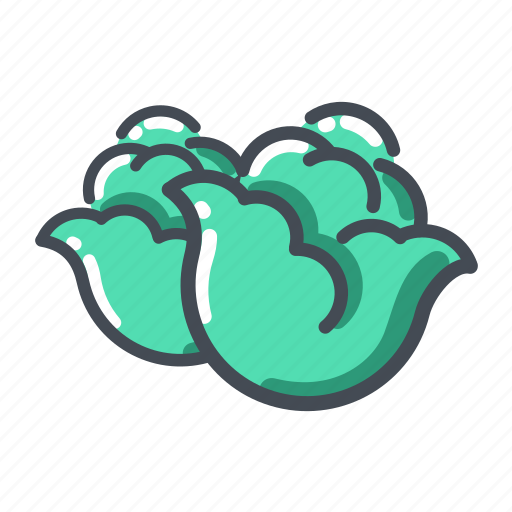 Cabbage, vegetable icon - Download on Iconfinder