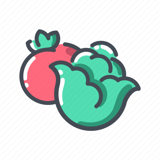 Cabbage, tomato, vegetable icon - Download on Iconfinder