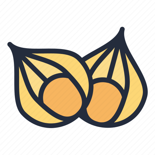 Cape, gooseberry, cape gooseberry, vegetable, food, healthy icon - Download on Iconfinder