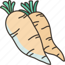 horseradish, daikon, roots, carrot, cooking