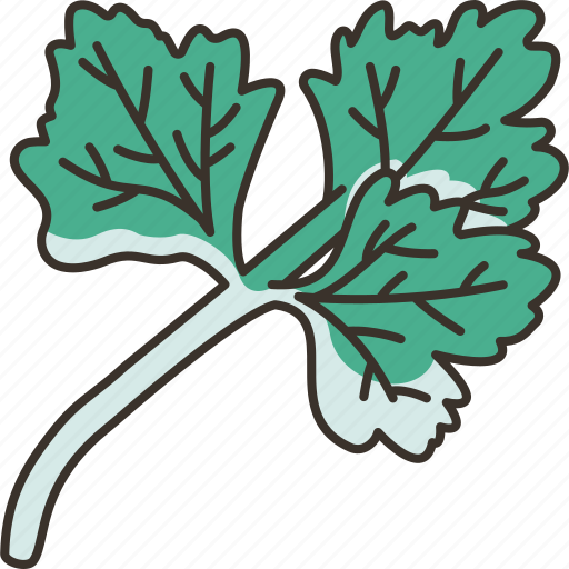 Parsley, aromatic, herb, leaves, culinary icon - Download on Iconfinder