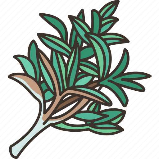 Thyme, flavor, food, herb, recipe icon - Download on Iconfinder