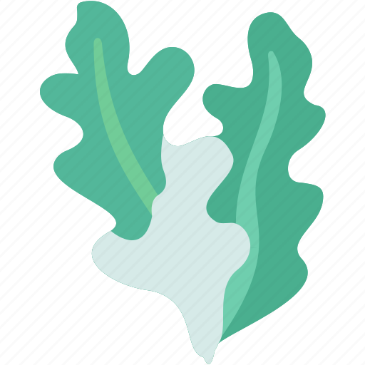 Arugula, leaf, flavor, salad, fiber icon - Download on Iconfinder