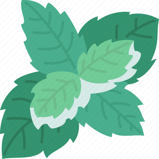 Basil, herb, tropical, food, garnish icon - Download on Iconfinder