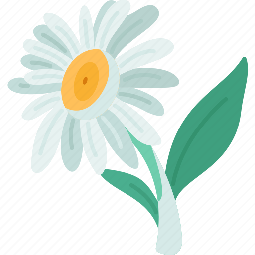 Chamomile, flower, relaxing, beautiful, nature icon - Download on Iconfinder