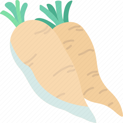 Horseradish, daikon, roots, carrot, cooking icon - Download on Iconfinder