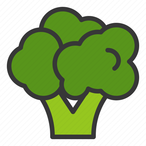 Broccoli, food, fresh, green, vegan, vegetable, vitamin icon - Download on Iconfinder
