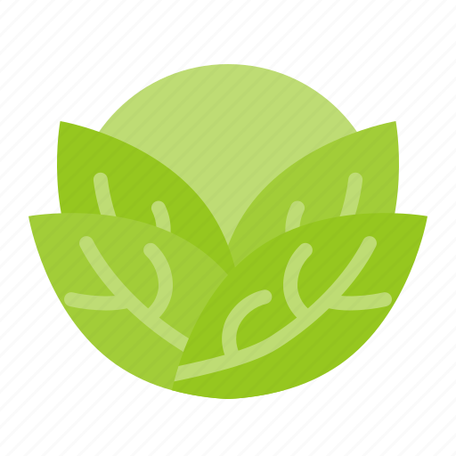 Cabbage, crop, farming, fresh, organic, vegetable icon - Download on Iconfinder