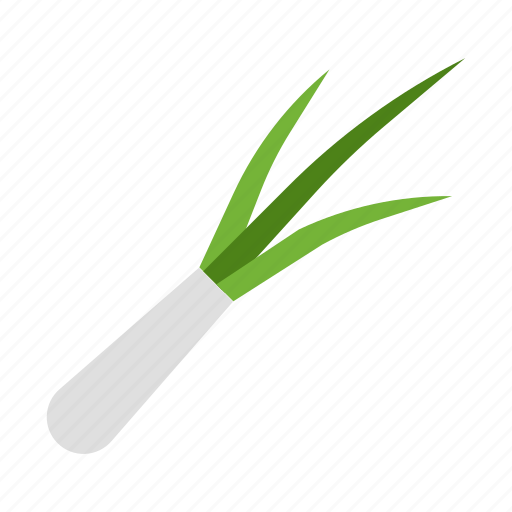 Crop, farming, fresh, leek, organic, spring onion, vegetable icon - Download on Iconfinder