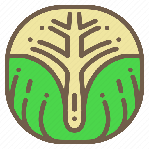 Brussels, food, organic, sprout, vegetable icon - Download on Iconfinder