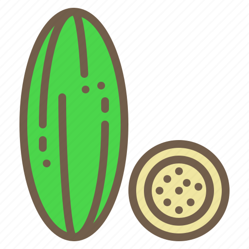 Cucumber, food, organic, vegetable icon - Download on Iconfinder