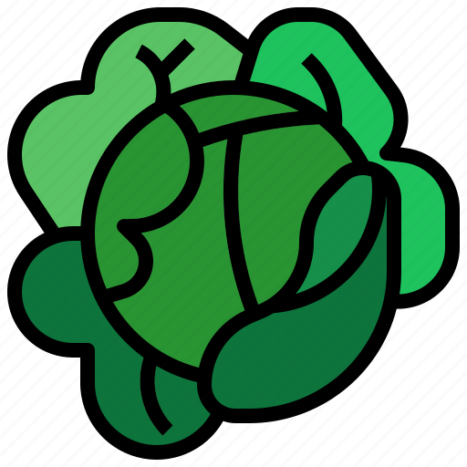 Cabbage, diet, organic, vegetables, vegetarian icon - Download on Iconfinder