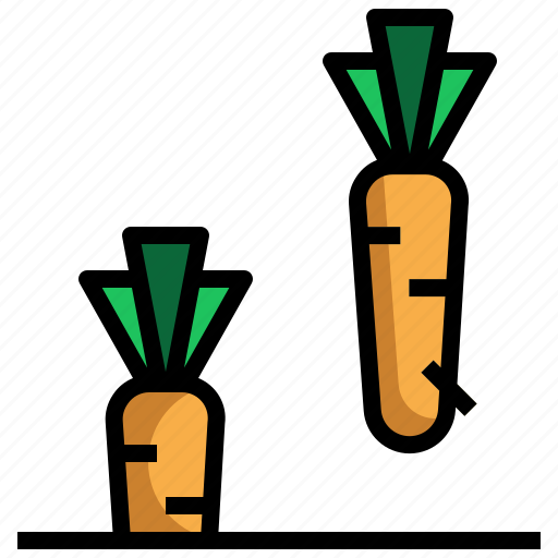 Carrot, diet, food, healthy, organic, vegan icon - Download on Iconfinder