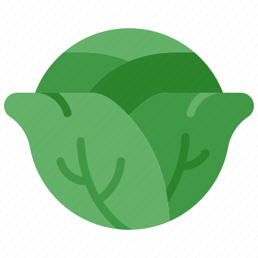 Cabbage, vegetable, head, harvest, gardening, salad, green icon - Download on Iconfinder