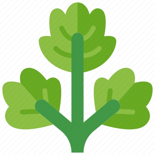 Coriander, vegetable, herb, leaf, cilantro, spice, seasoning icon - Download on Iconfinder