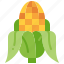 corn, maize, corncob, cereal, harvest, grain, seed 