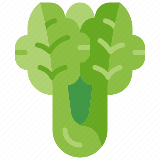 Lettuce, vegetable, salad, leaf, vegetarian, healthy, harvest icon - Download on Iconfinder