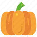 pumpkin, vegetable, harvest, halloween, autumn, organic, fruit