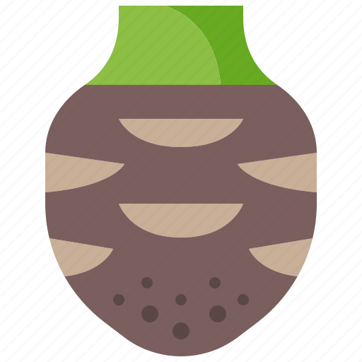 Taro, head, root, tuber, vegetable, bulb, carbohydrate icon - Download on Iconfinder