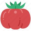 tomato, vegetable, fruit, harvest, food, red, ripe