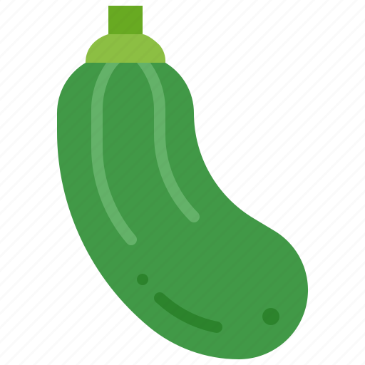 Zucchini, courgette, vegetable, marrow, healthy, harvest, squash icon - Download on Iconfinder