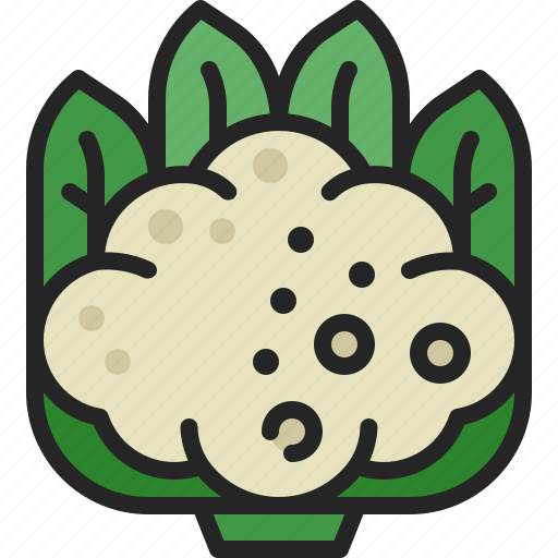 Cauliflower, vegetable, head, healthy, vegan, fresh, diet icon - Download on Iconfinder