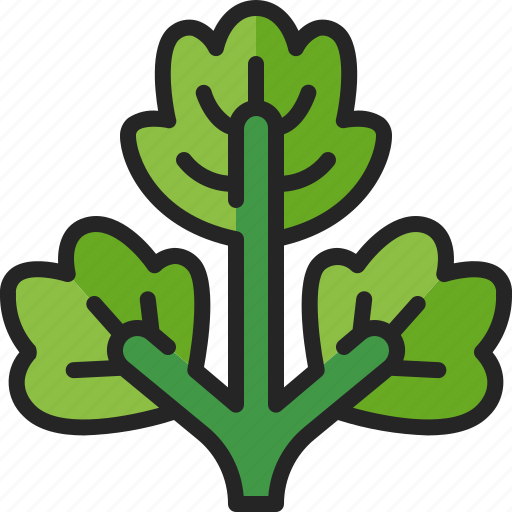 Coriander, vegetable, herb, leaf, cilantro, spice, seasoning icon - Download on Iconfinder