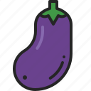 eggplant, aubergine, vegetable, purple, harvest, organic, vegetarian