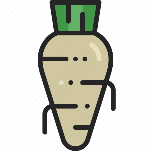 Horseradish, vegetable, root, spice, ingredient, herb, condiment icon - Download on Iconfinder
