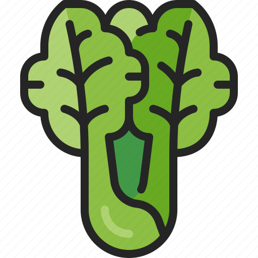 Lettuce, vegetable, salad, leaf, vegetarian, healthy, harvest icon - Download on Iconfinder
