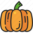 pumpkin, vegetable, harvest, halloween, autumn, organic, fruit