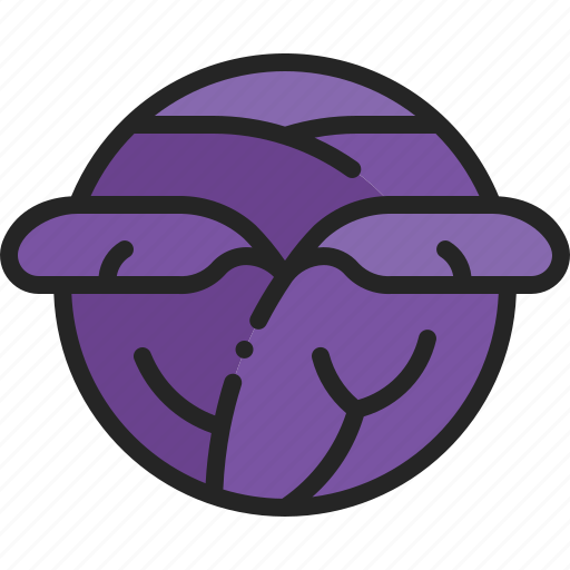 Red, cabbage, purple, vegetable, head, harvest, gardening icon - Download on Iconfinder
