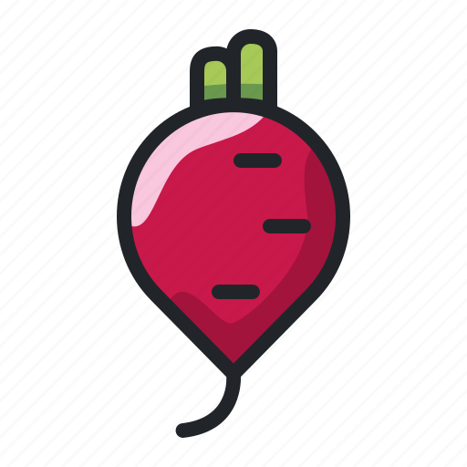 Vegetable, cooking, organic, food icon - Download on Iconfinder