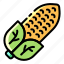 corn, agriculture, maize, cinema, vegetable, food, popcorn, farm, grain, snack 