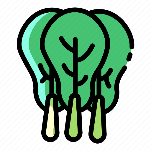 Bok choy, cabbage, vegetarian, vegetable, salad, green, broccoli icon - Download on Iconfinder