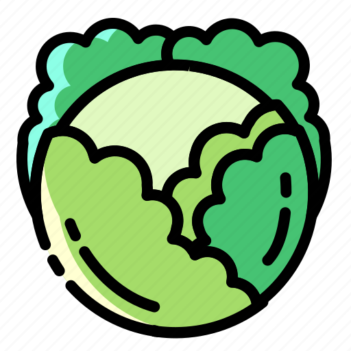 Cabbage, vegetarian, cooking, vegetable, salad, green, broccoli icon - Download on Iconfinder