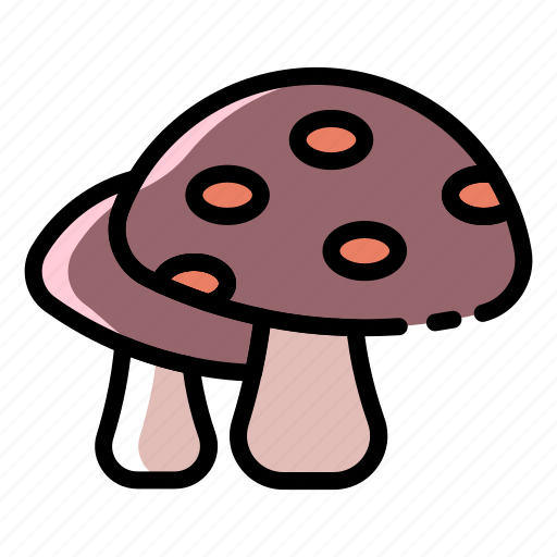 Mushroom, mushrooms, vegetable, toadstool, forest, fungus, nature icon - Download on Iconfinder