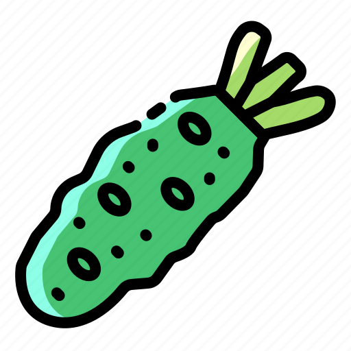 Wasabi, vegetable, vegetarian, carrot, cooking, food, healthy icon - Download on Iconfinder