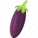 eggplant, brinjal, aubergine, violet, organic, green, vegetables, salad, food