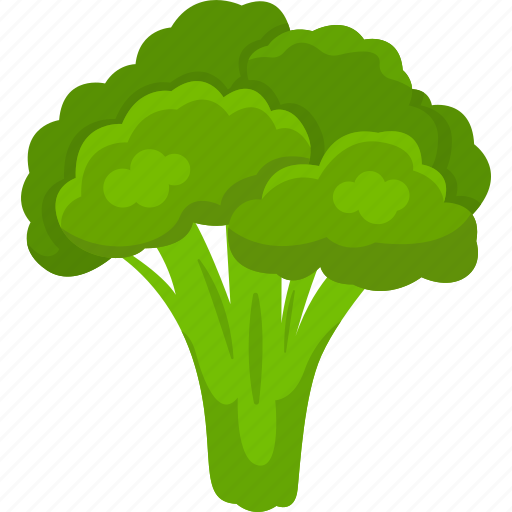 Green, broccoli, cauliflower, food, vegetables, veggies, organic icon - Download on Iconfinder