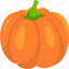 pumpkin, fruit, autumn, halloween, vegetables, organic, salad, food, farm 